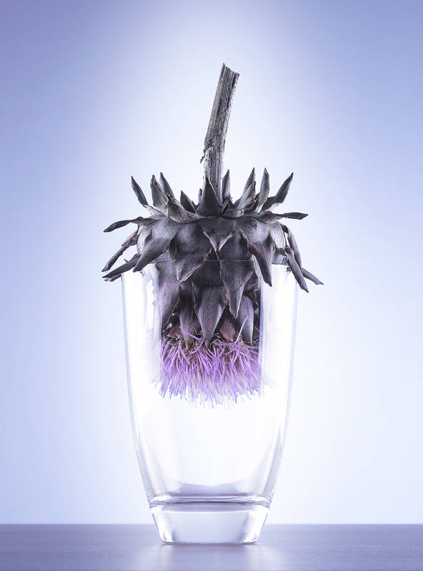 01_Artischocke_im_Glas
