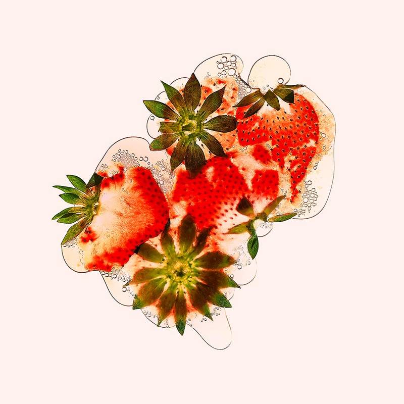45_Erdbeeren_Flatfruit