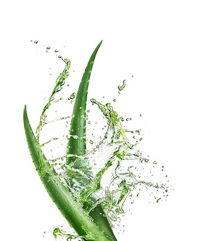 80_Aloe-Splash-2b